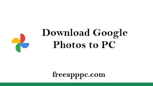 Download Google Photos or Videos to Your Device/PC