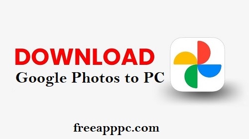 Download Google Photos or Videos to Your Device/PC