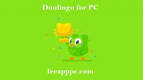Download Free Duolingo for PC