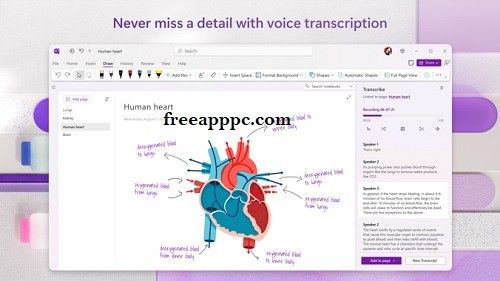 Download Latest Version Microsoft OneNote for Windows/Mac